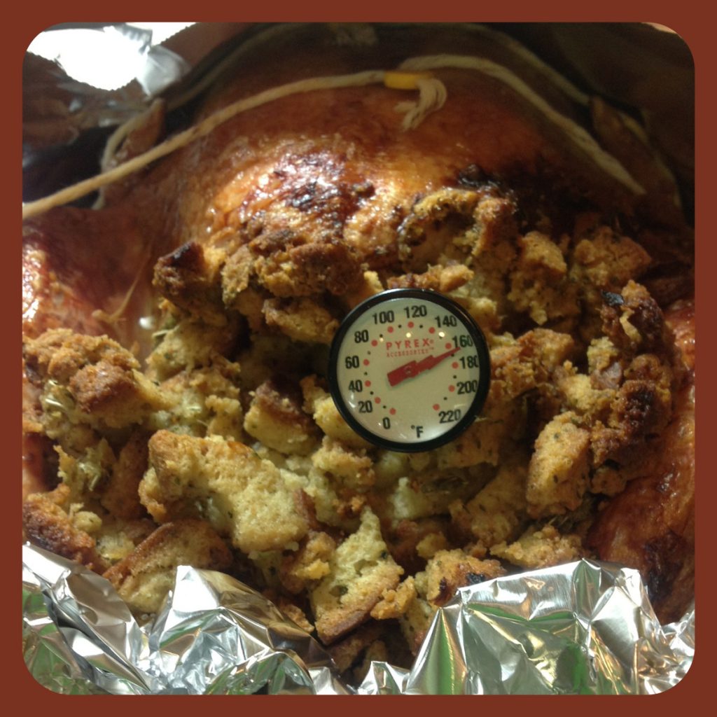 Food safety rule: always take the temperature to see if the turkey is done. 